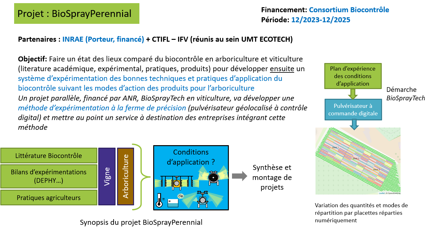 BioSprayPerennial_synopsis