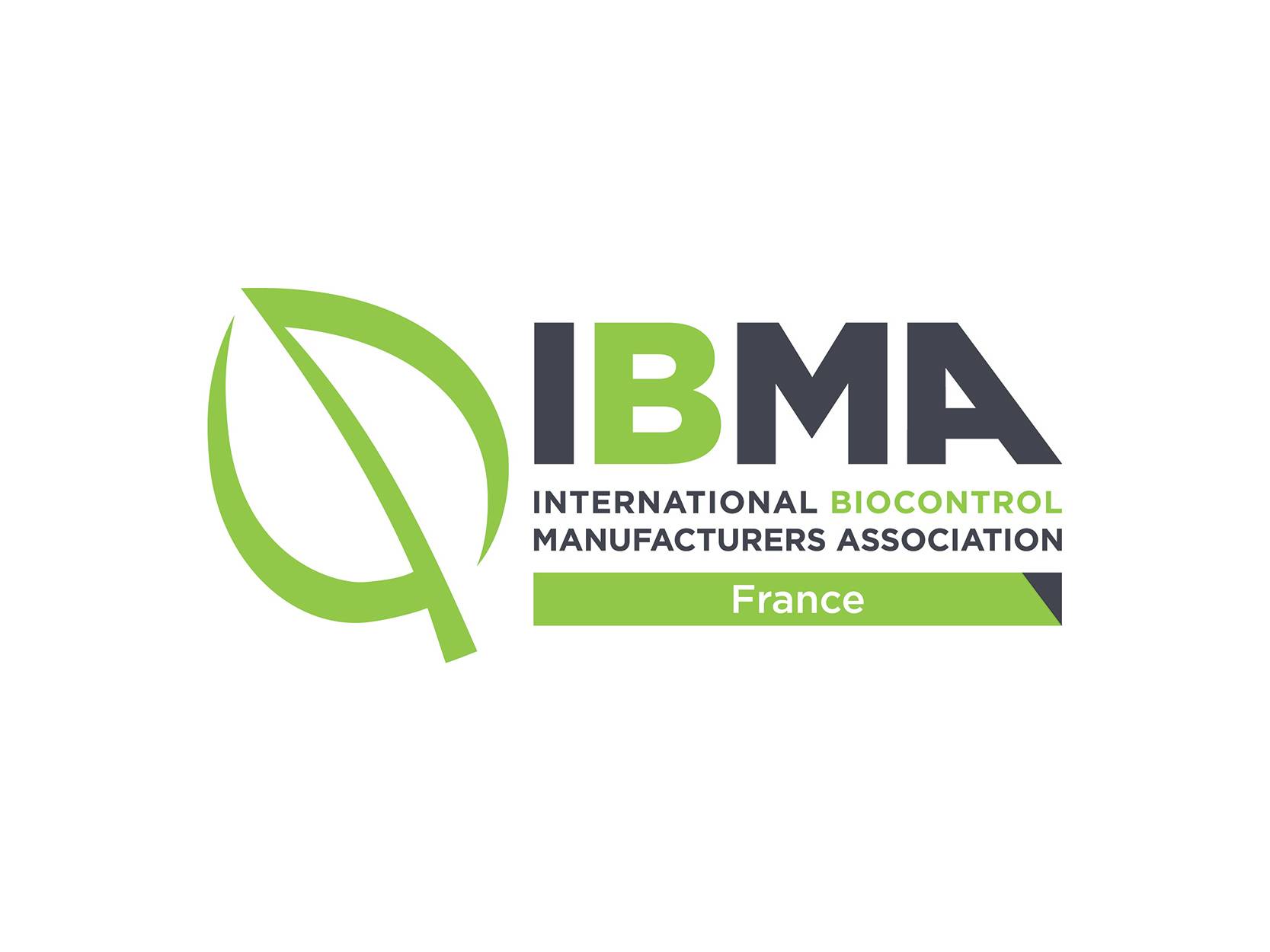 Logo de l'IBMA