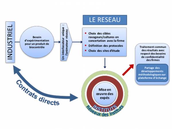 Fonctionnnement d'un réseau au sein du projet XP-BC